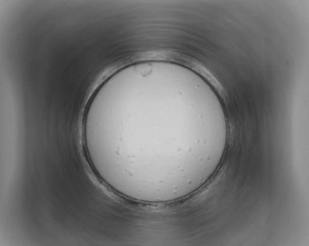 X0000111030994200906251114