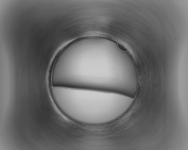 X0000111030995200906251114