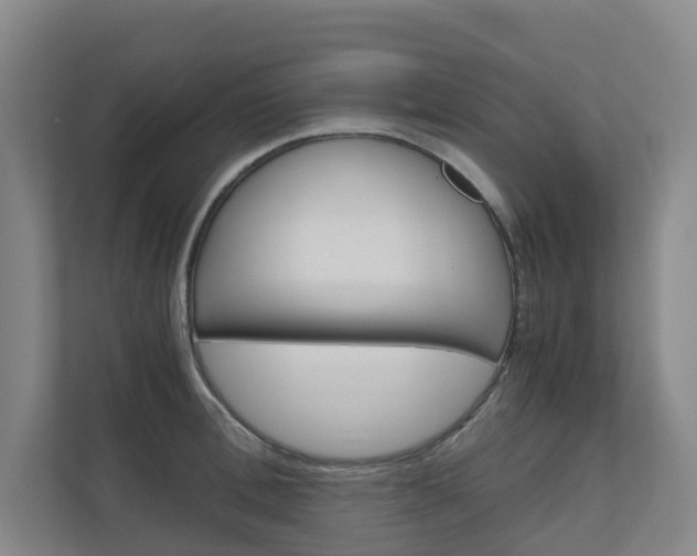 X0000111030996200906251114