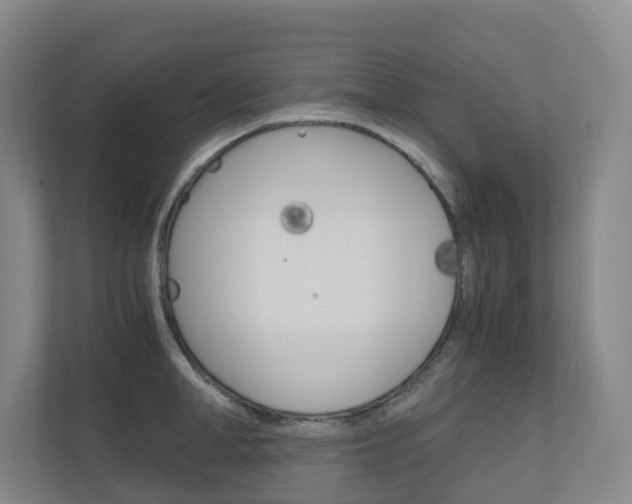 X0000111030998200906251114