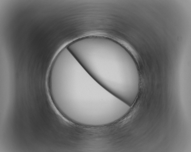 X0000111030999200906251114
