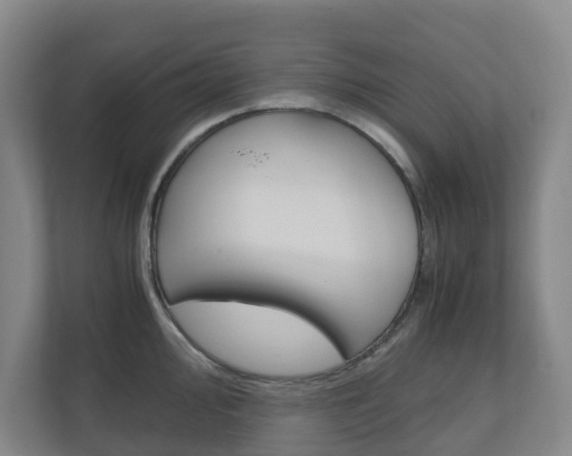 X0000111031000200906251114