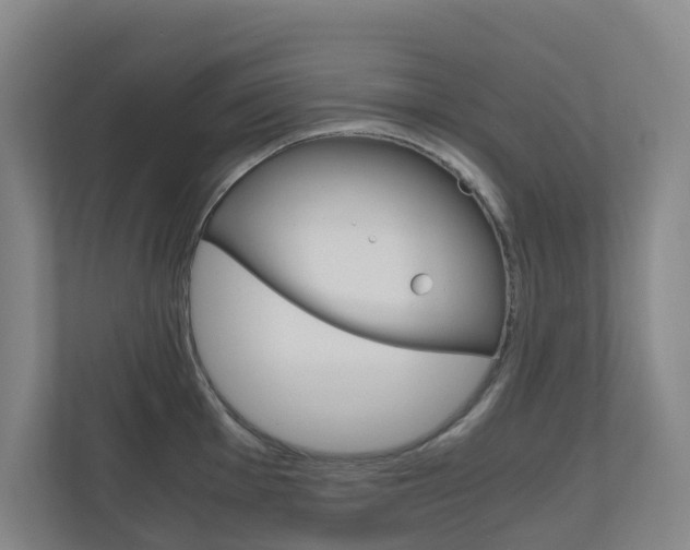 X0000111031001200906251114