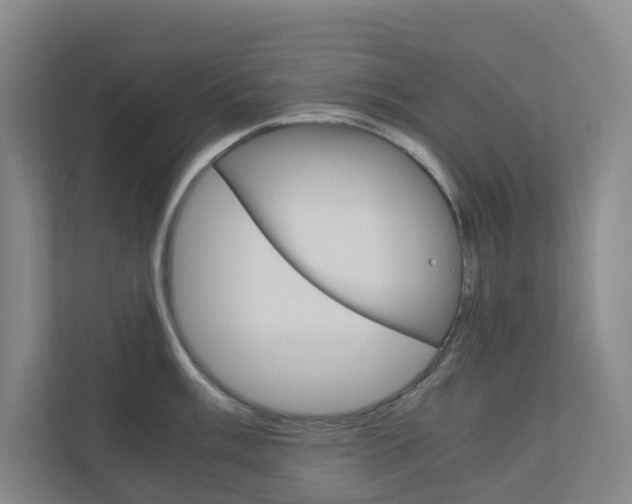 X0000111031003200906251114
