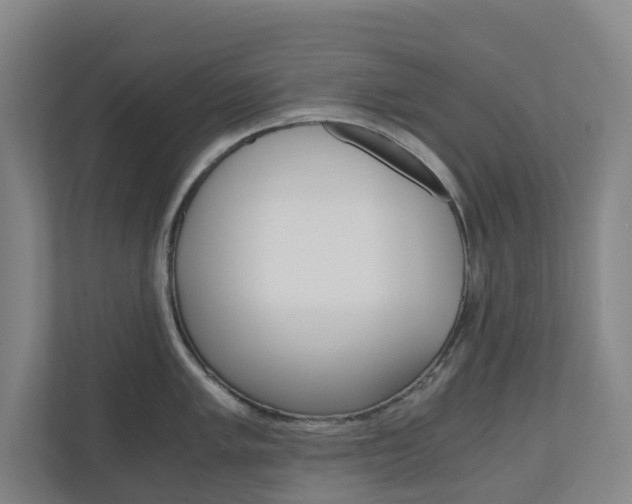 X0000111031005200906251114