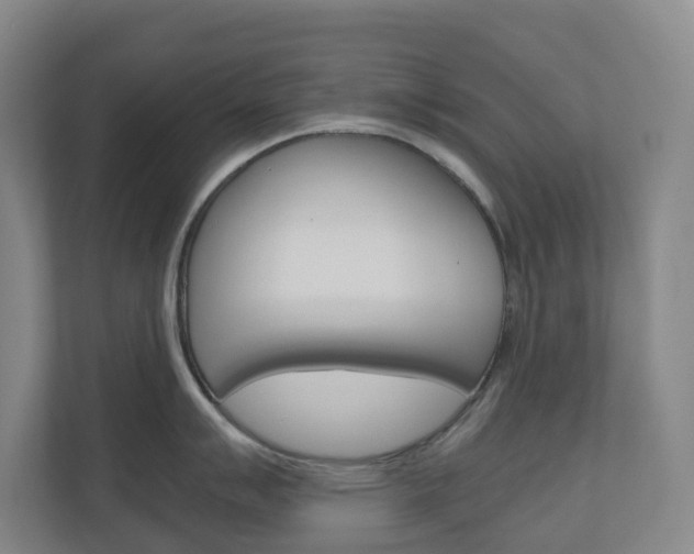 X0000111031007200906251114