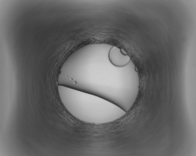 X0000111031009200906251113