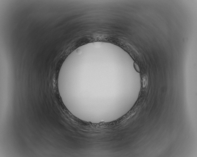 X0000111031011200906251113