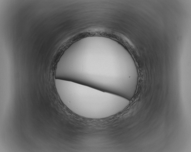 X0000111031016200906251113