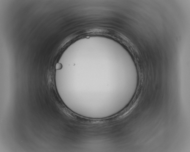 X0000111031017200906251113