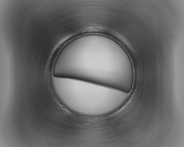 X0000111031018200906251113