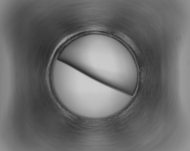 X0000111031024200906251113
