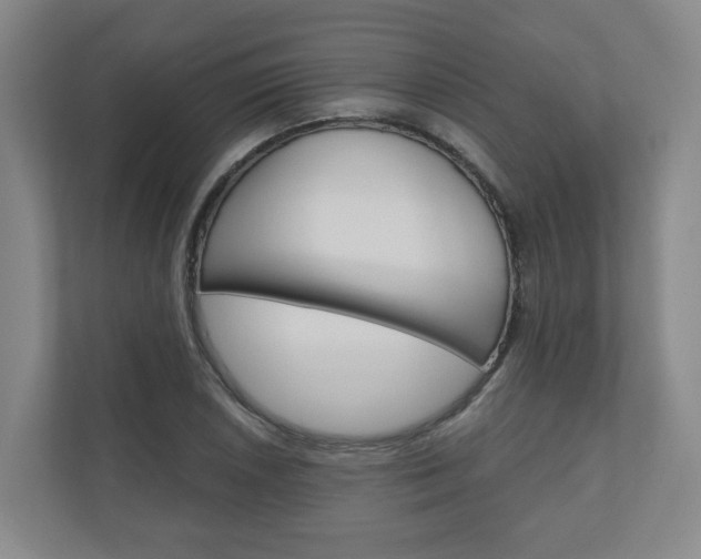X0000111031026200906251113