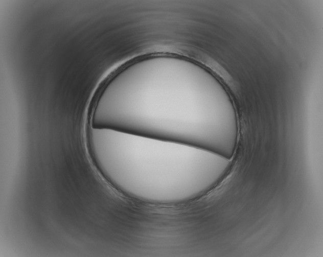 X0000111031028200906251113