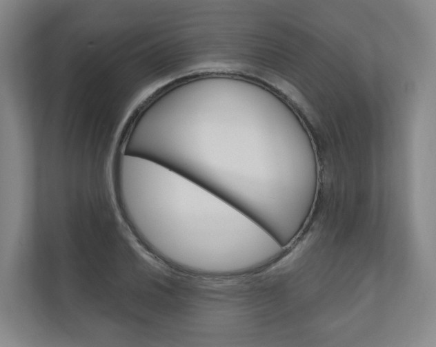 X0000111031030200906251113