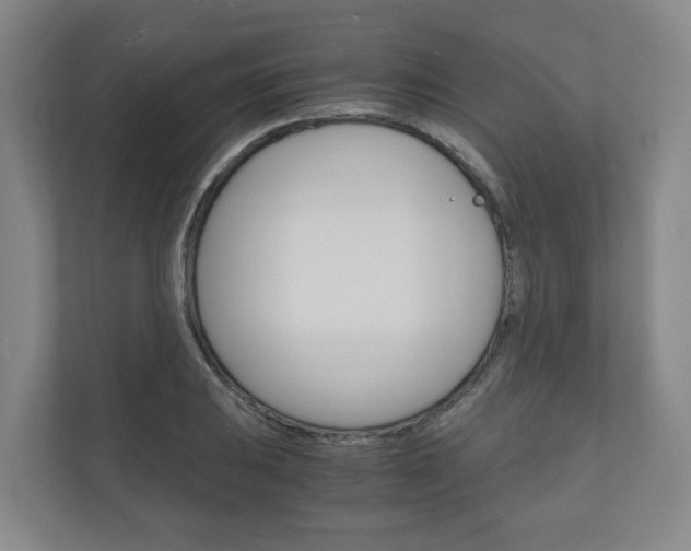 X0000111031031200906251113
