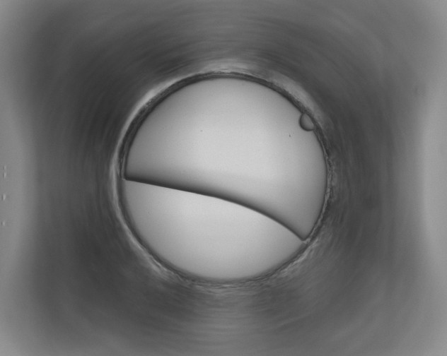 X0000111031032200906251113