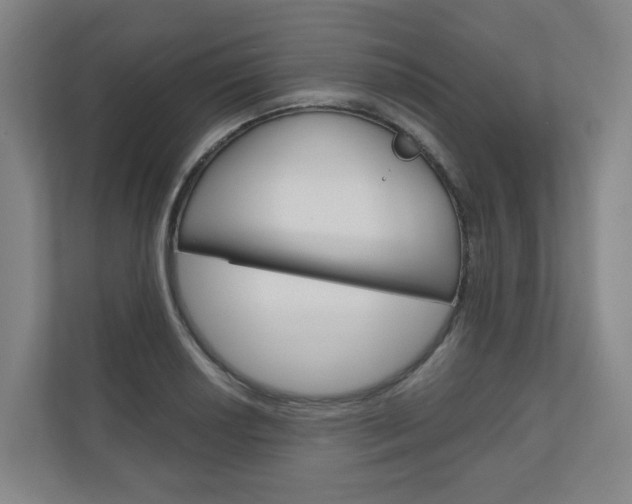 X0000111031034200906251113