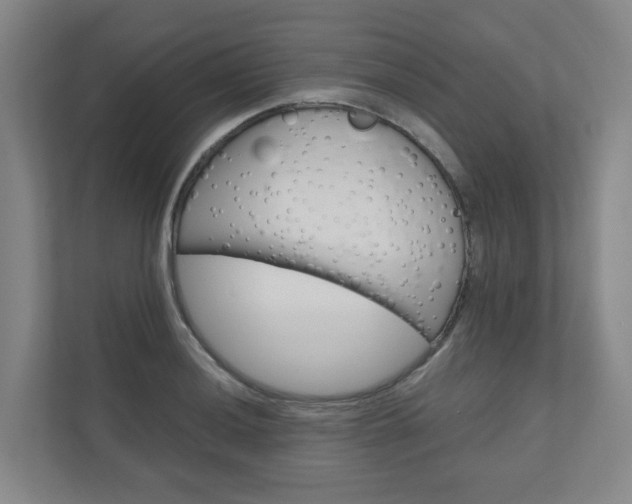 X0000111031036200906251114