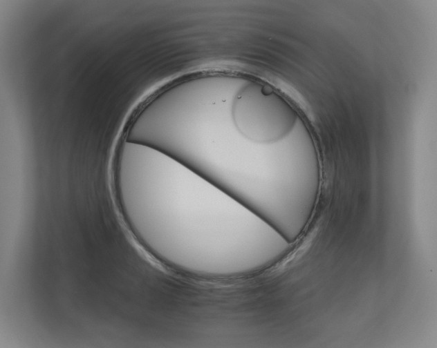 X0000111031037200906251114