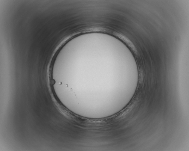 X0000111031039200906251114