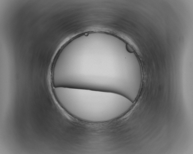 X0000111031040200906251114