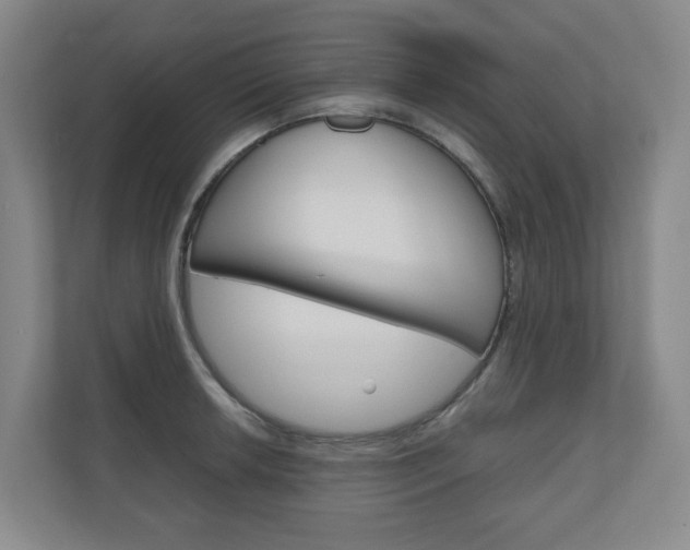 X0000111031042200906251114