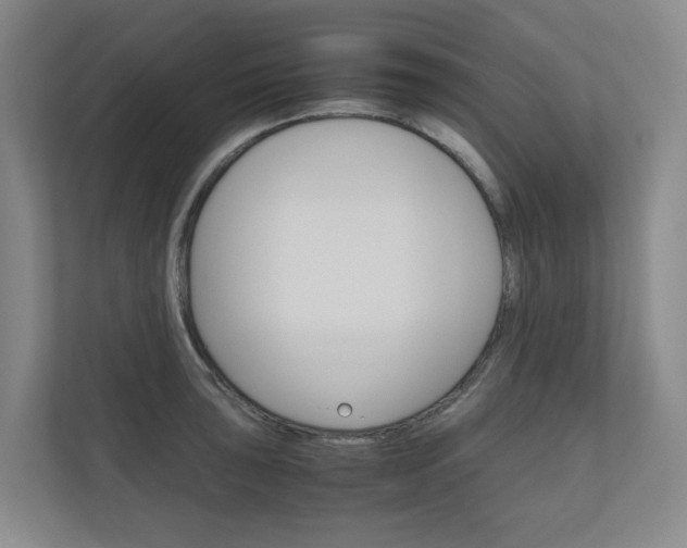 X0000111031043200906251114