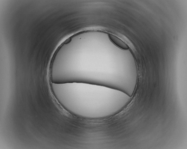 X0000111031044200906251114