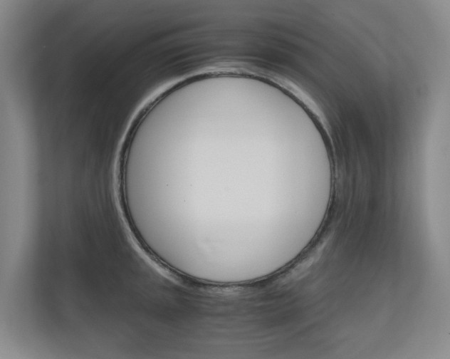 X0000111031045200906251114