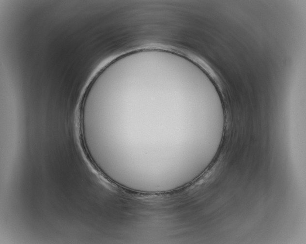 X0000111031048200906251114