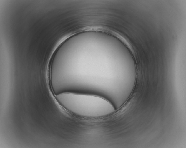 X0000111031050200906251114