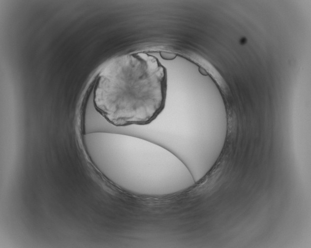 X0000111031051200906251114