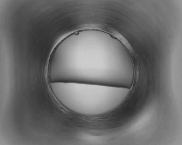 X0000111031052200906251114