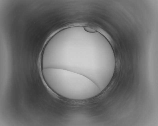 X0000111031055200906251114