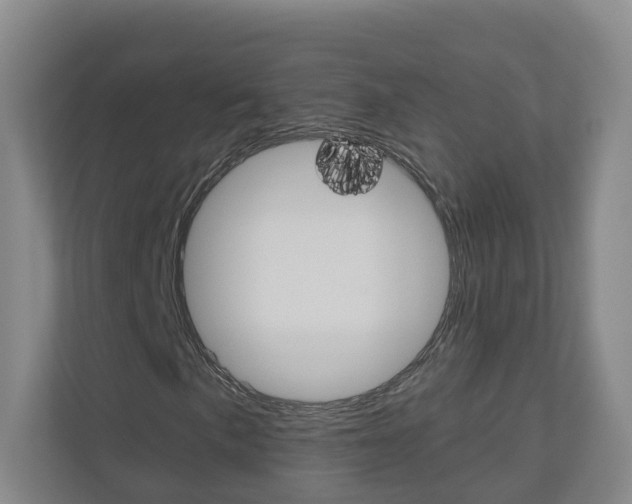 X0000111031057200906251113