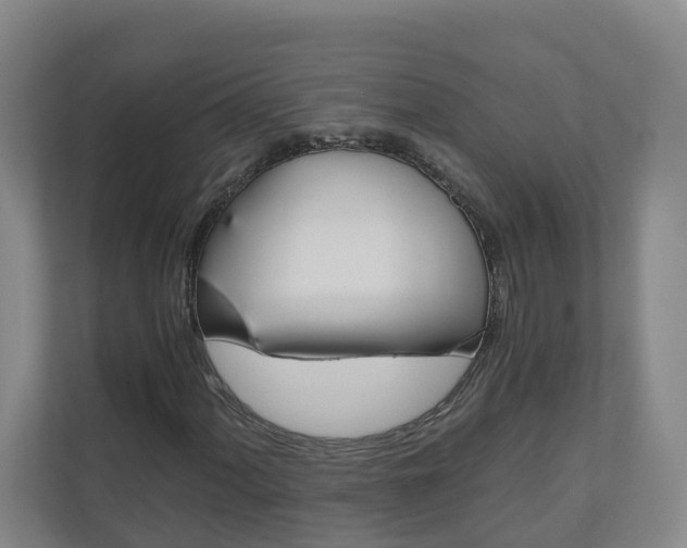 X0000111031060200906251113