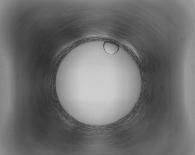 X0000111031064200906251113