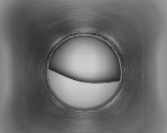 X0000111031065200906251113