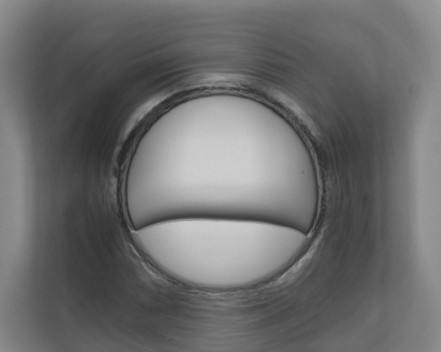 X0000111031066200906251113