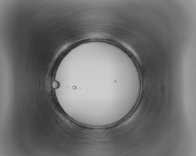 X0000111031067200906251113