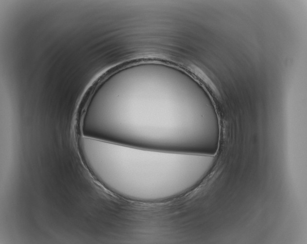 X0000111031068200906251113