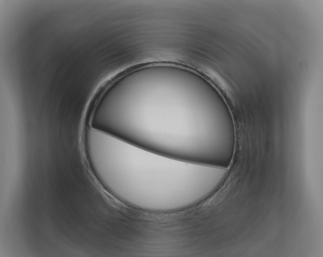 X0000111031072200906251113