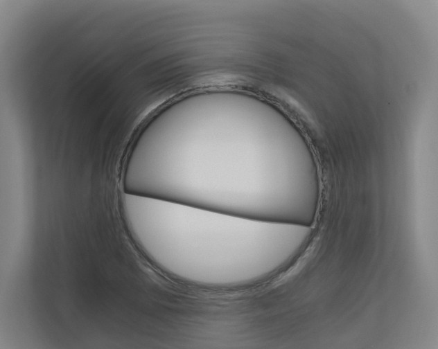 X0000111031073200906251113
