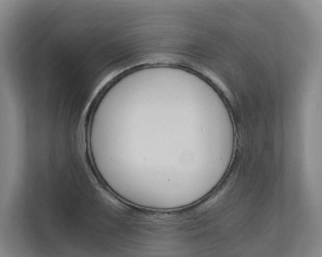 X0000111031075200906251113