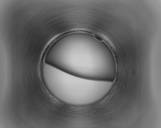 X0000111031076200906251113