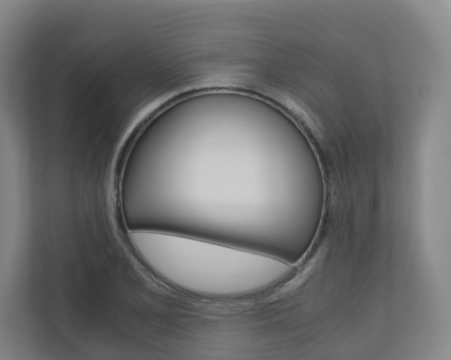 X0000111031077200906251113