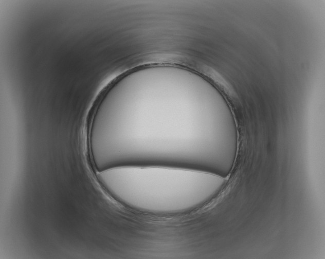 X0000111031079200906251113