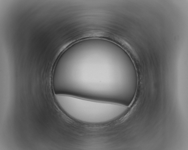 X0000111031081200906251113