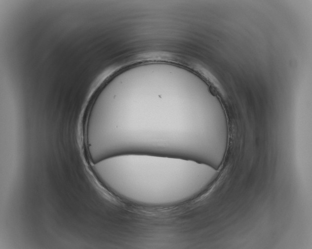 X0000111031082200906251113
